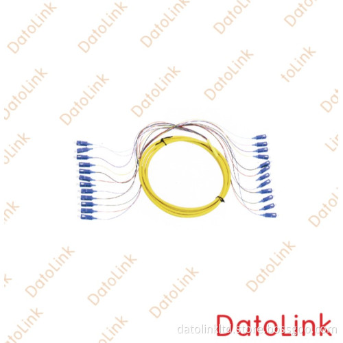 Sc 12 Cores Fan out Fiber Optic Pigtail/ Fibre Optical Pigtails